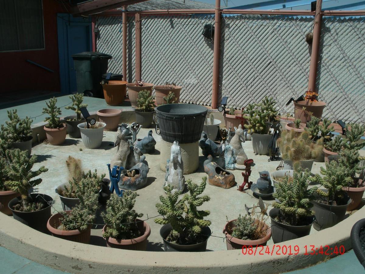 Safari Motor Inn - Joshua Tree Kültér fotó