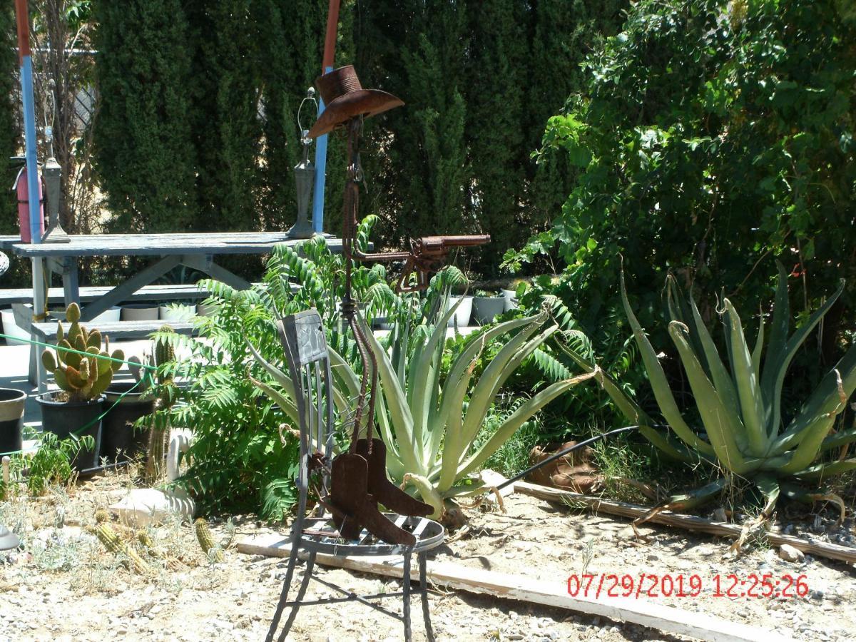 Safari Motor Inn - Joshua Tree Kültér fotó